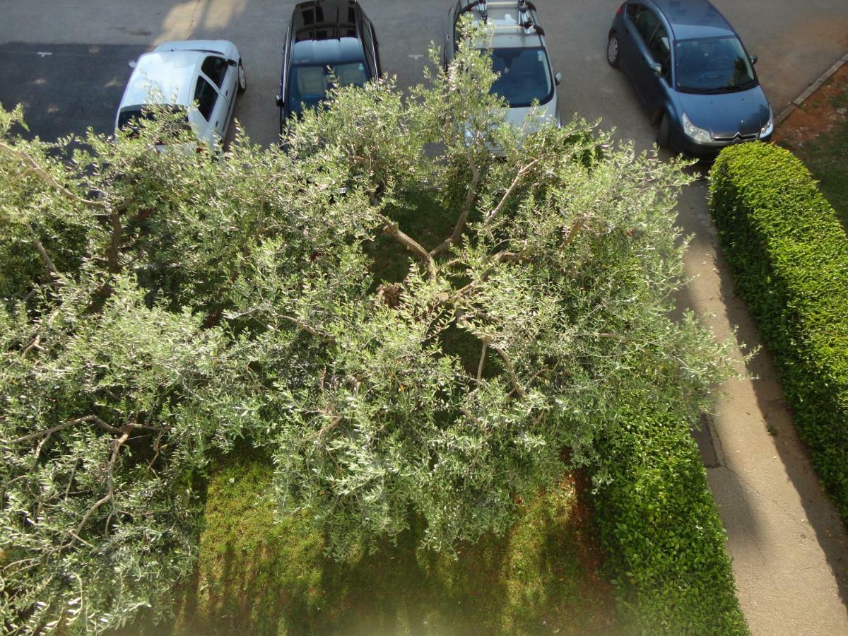 Apartmán Pantos Poreč Exteriér fotografie